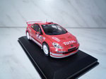 Peugeot 307 WRC Rallye de Monte Carlo (2004)